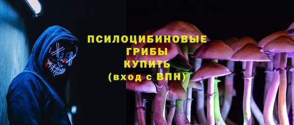 2c-b Новодвинск