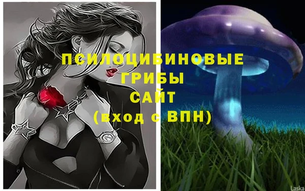 прущая мука Новозыбков