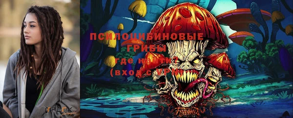 прущая мука Новозыбков
