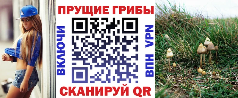 Купить где  Нижний Новгород  Галлюциногенные грибы Cubensis 